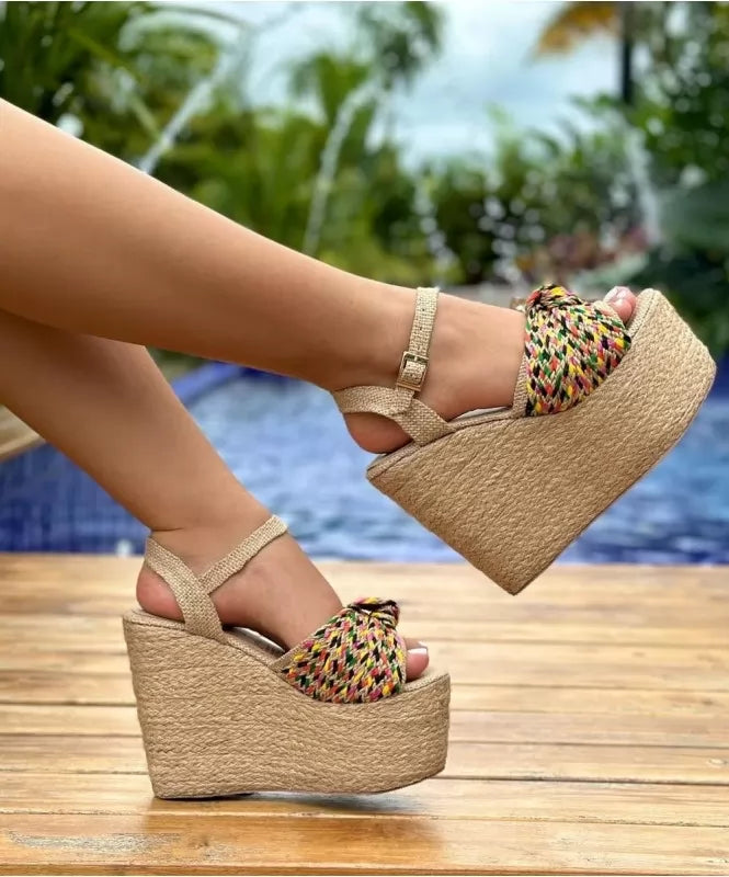 Multicolor Braided Knot Wedges